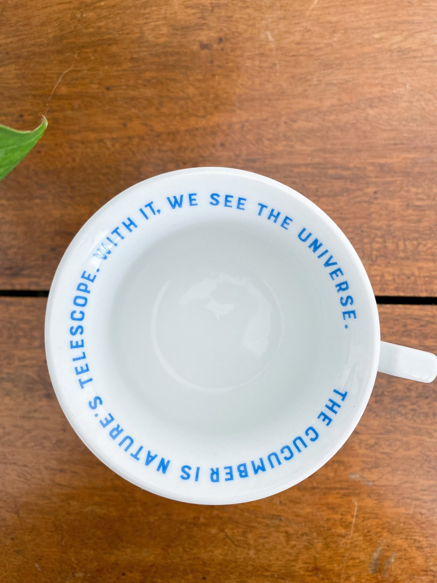 Hendricks Gin, “In Cucumeris Veritas” Teacup + Saucer - Perth Market