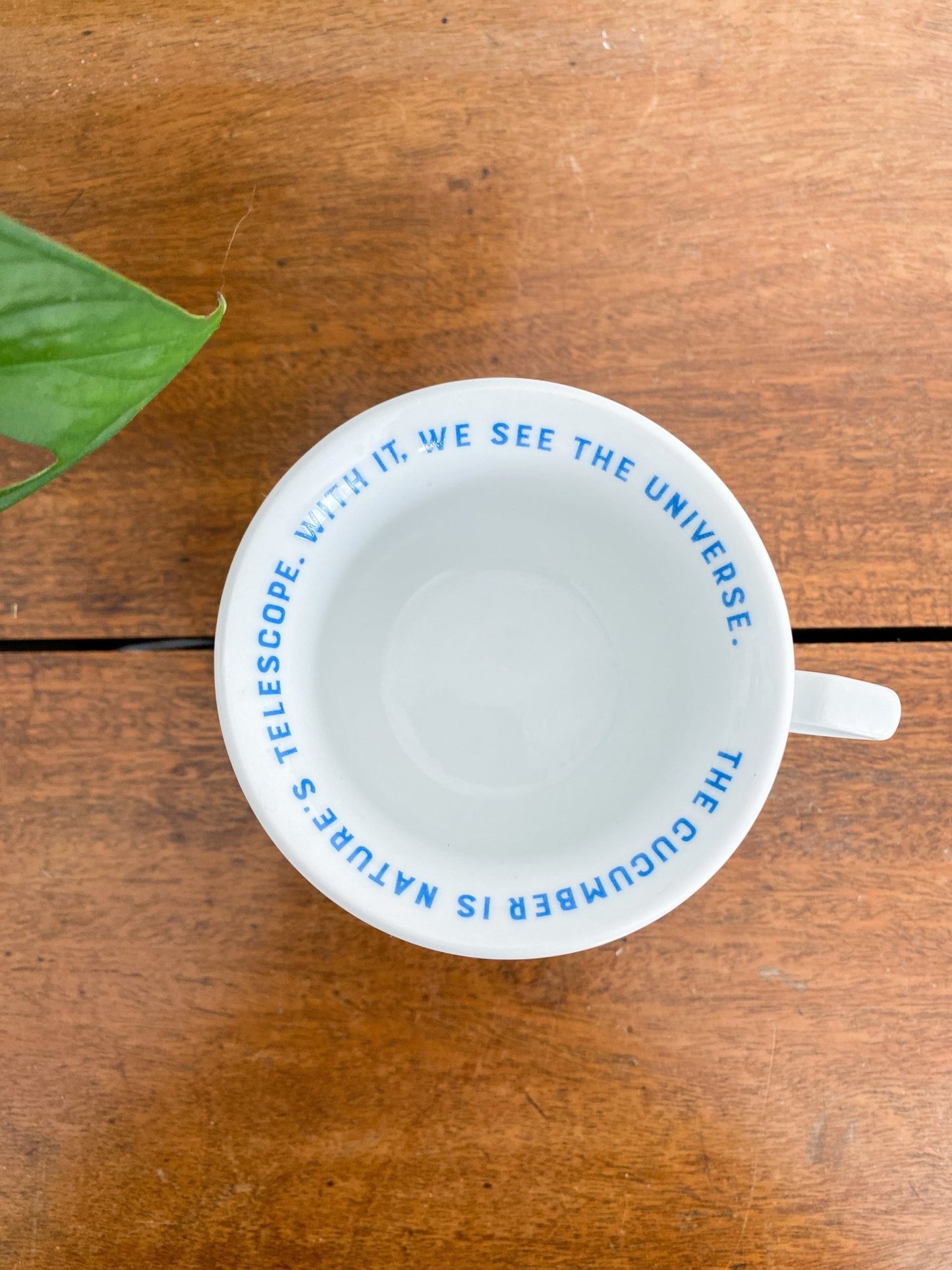 Hendricks Gin, “In Cucumeris Veritas” Teacup + Saucer - Perth Market