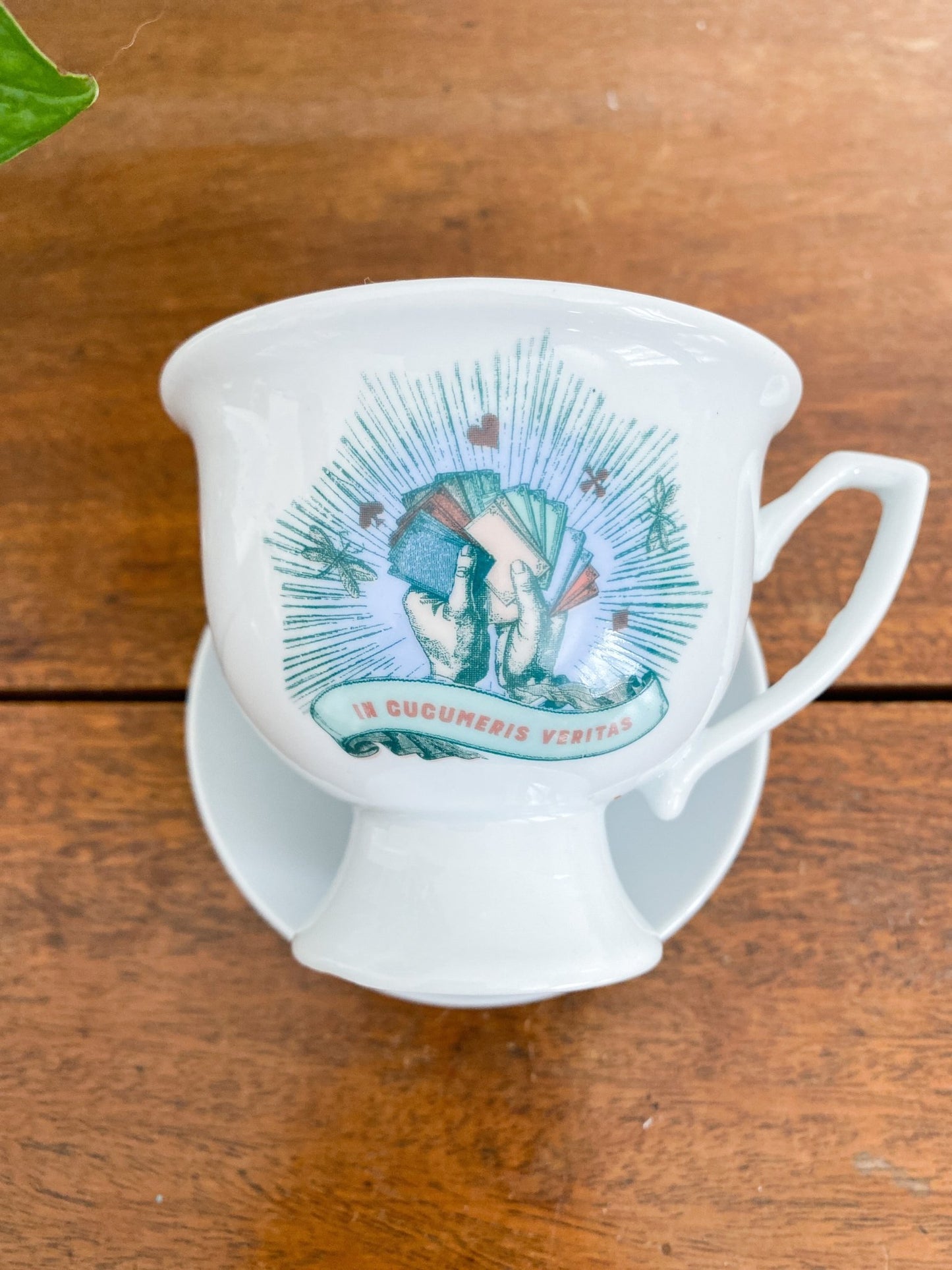 Hendricks Gin, “In Cucumeris Veritas” Teacup + Saucer - Perth Market