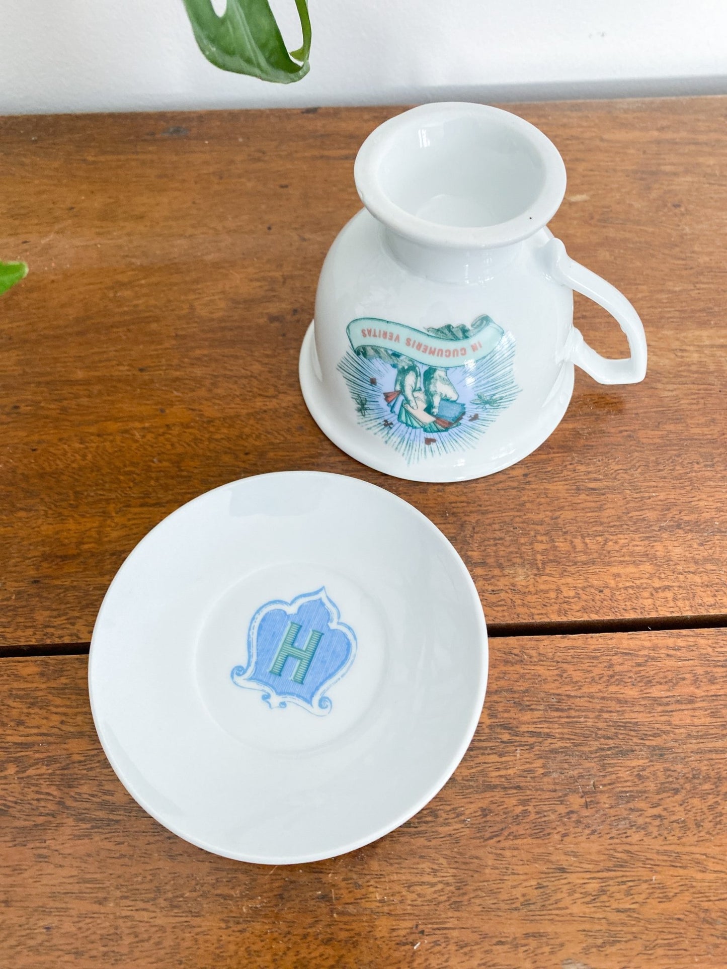 Hendricks Gin, “In Cucumeris Veritas” Teacup + Saucer - Perth Market