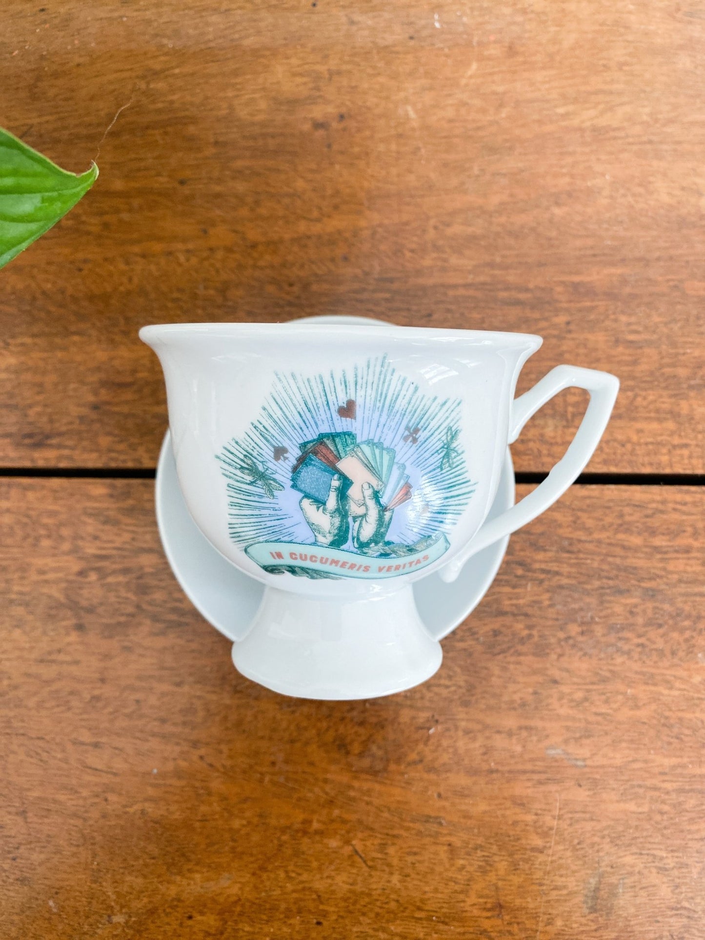 Hendricks Gin, “In Cucumeris Veritas” Teacup + Saucer - Perth Market