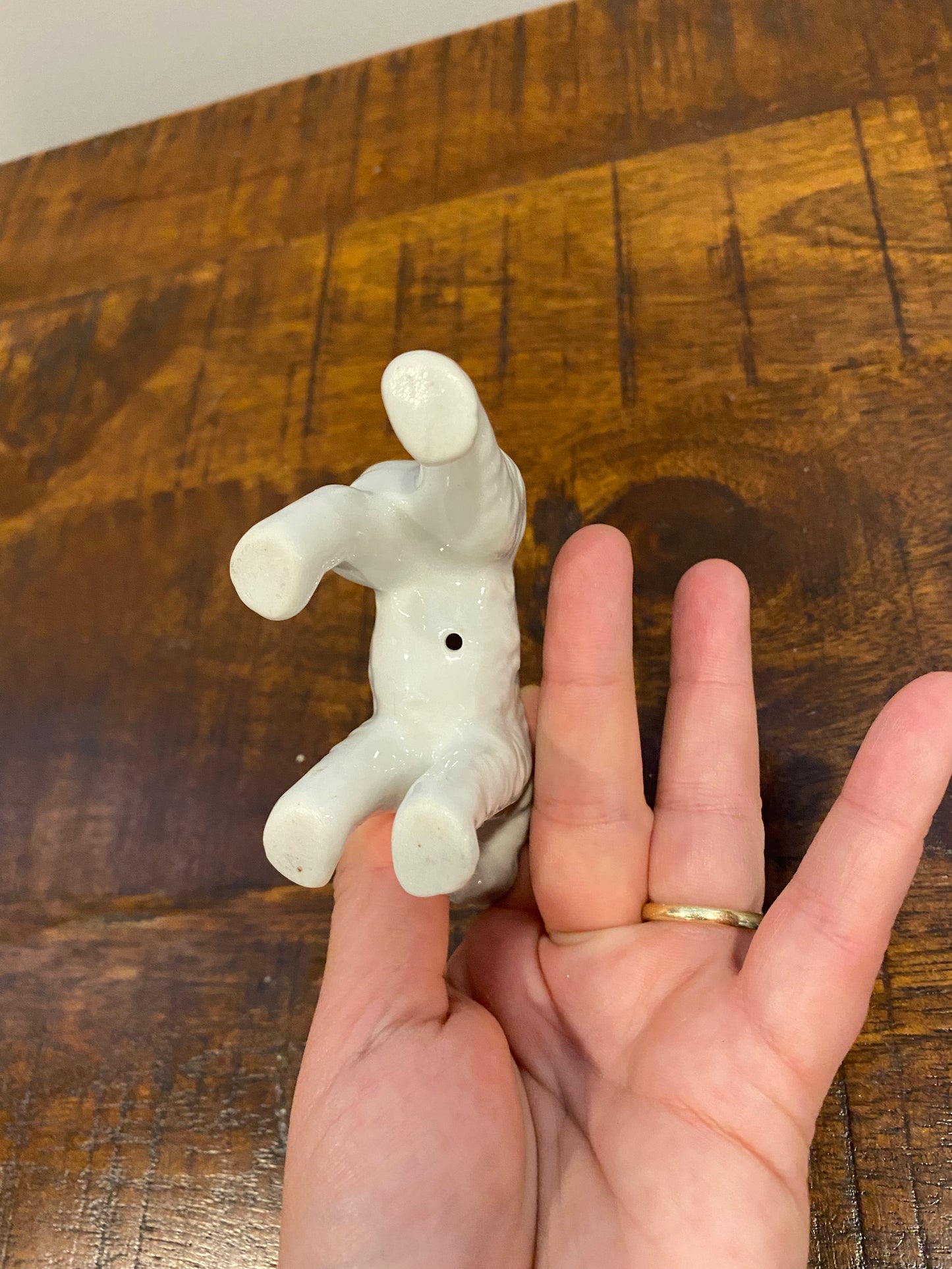 Porcelain Dog | Blue & White