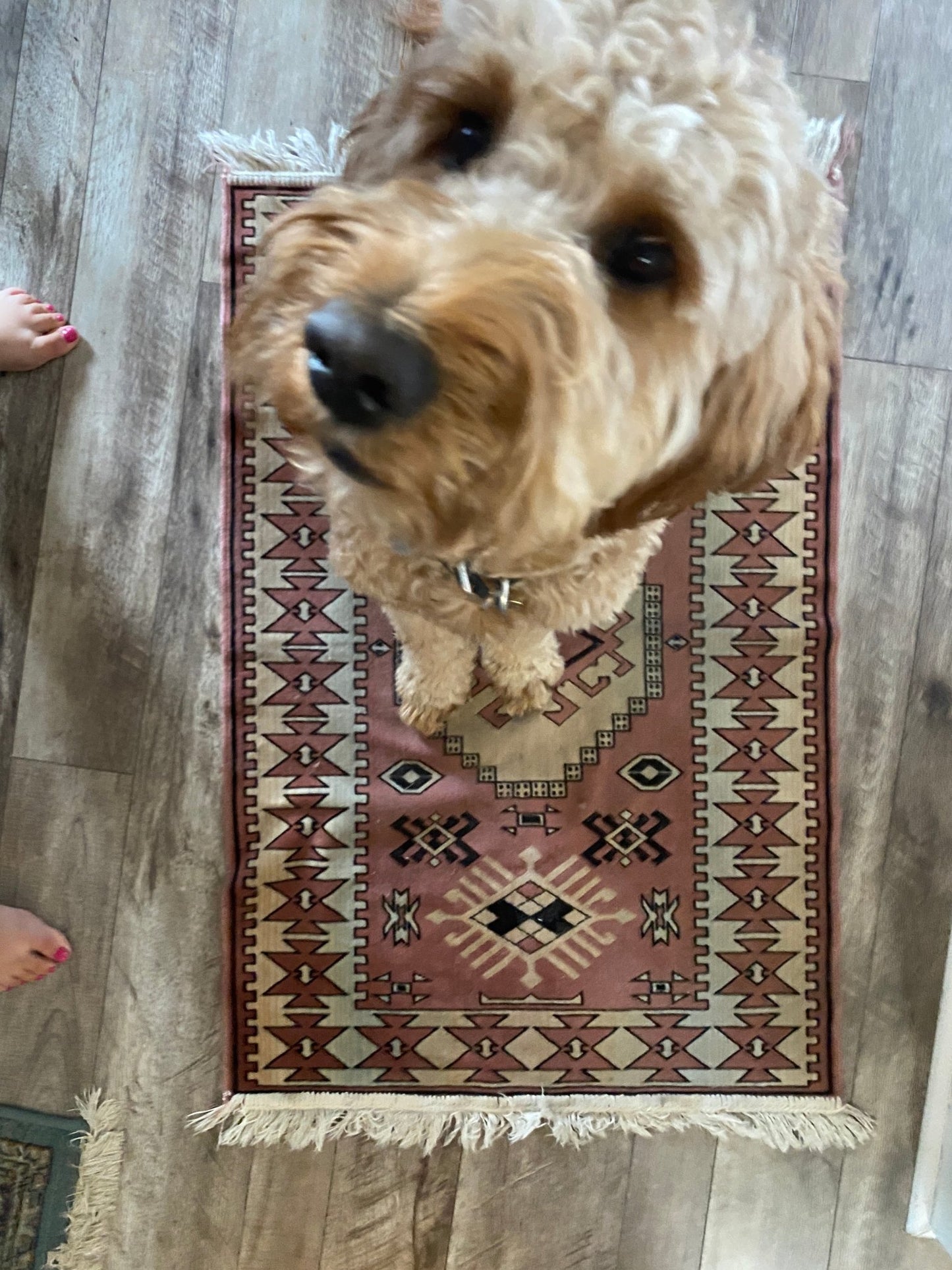 Vintage Pink Oushka Turkish Rug 27" x 46" - Perth Market