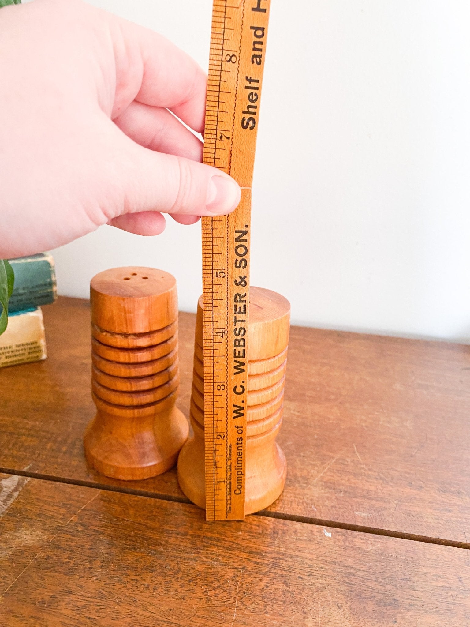 Wooden Circular Salt & Pepper Shakers - Perth Market
