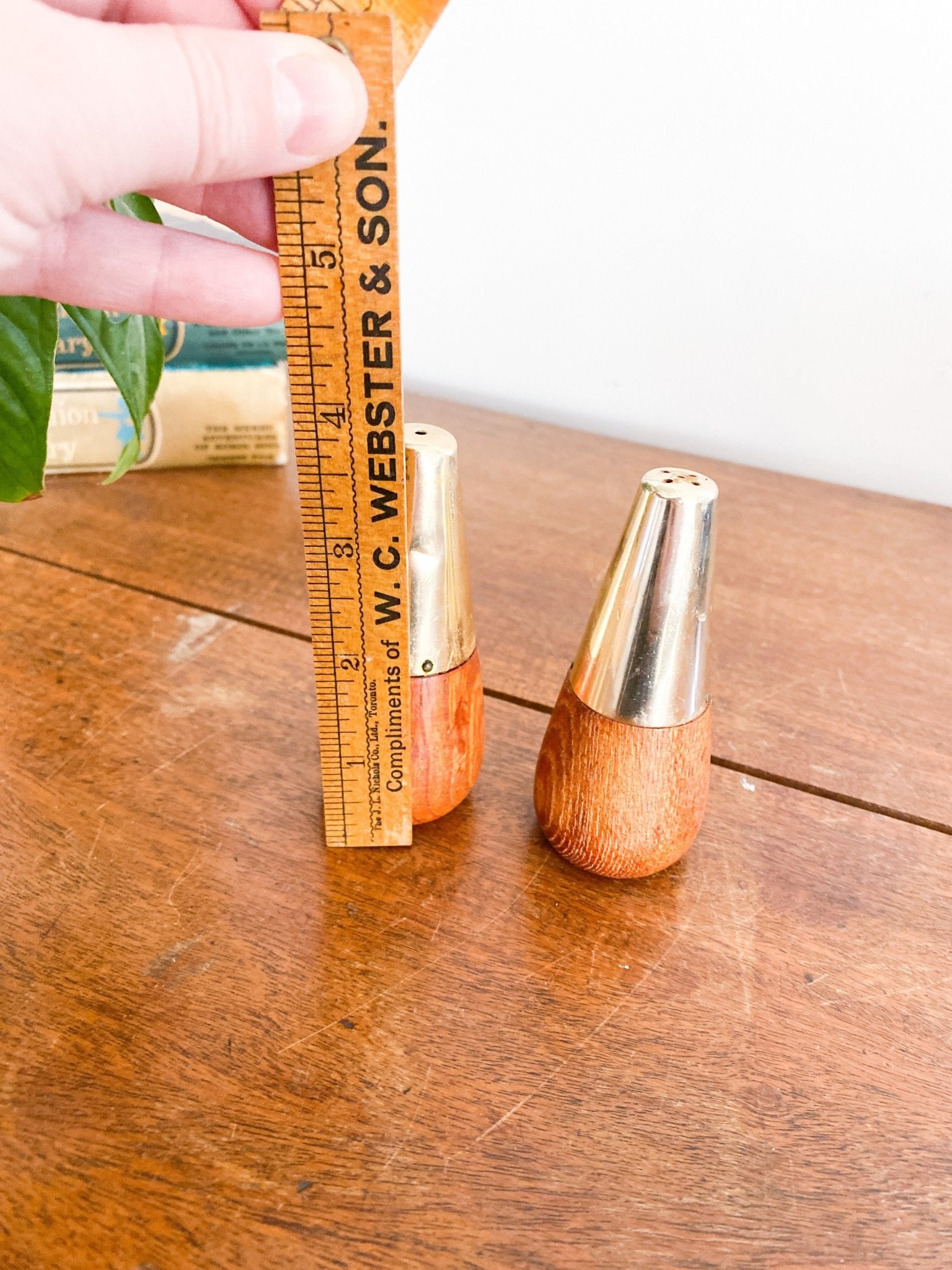 Geo-Shaped Salt and Pepper Shakers - Perth Market