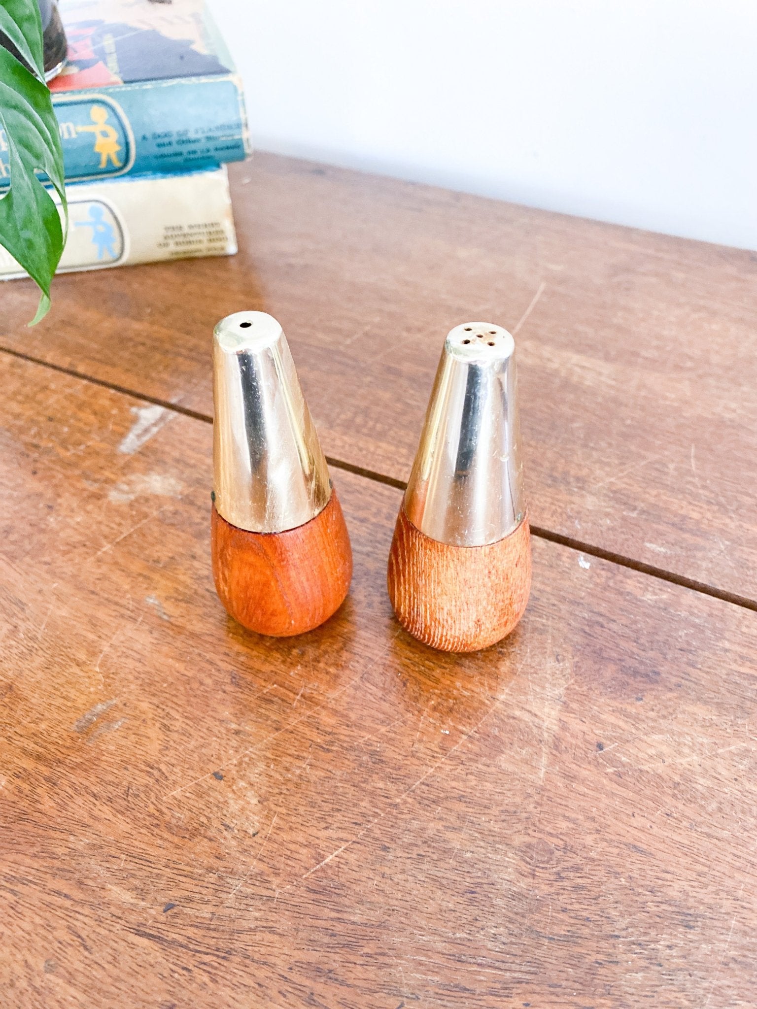 Geo-Shaped Salt and Pepper Shakers - Perth Market