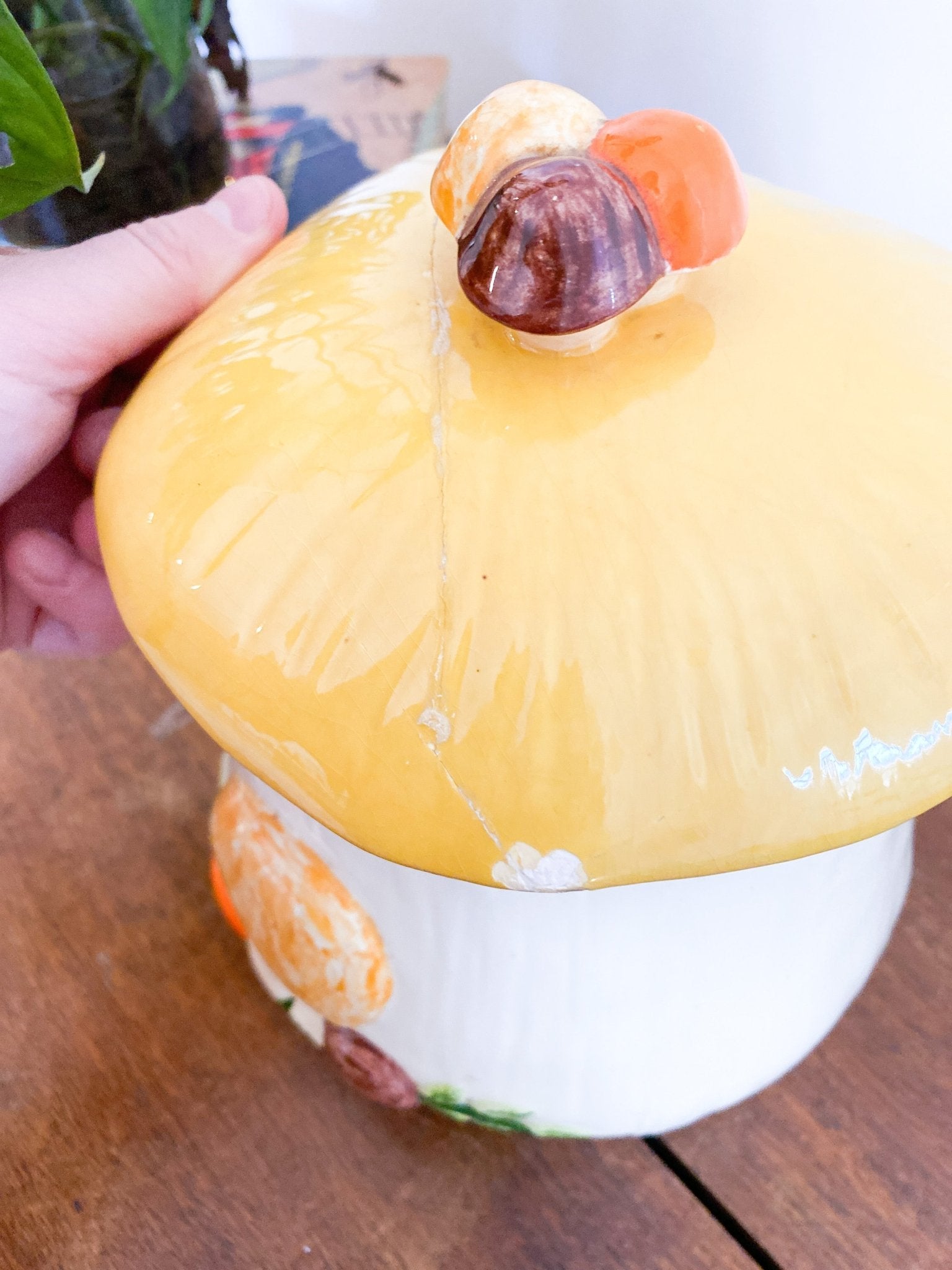 Vintage Merry Mushroom by Arnels - Yellow - Perth Market