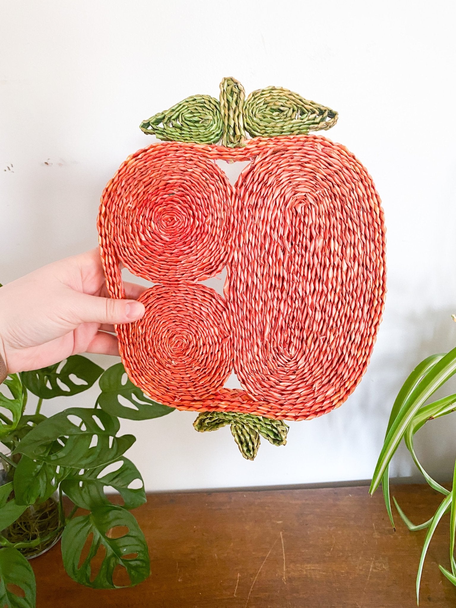 Boho Wicker/Jute Trivet - Perth Market
