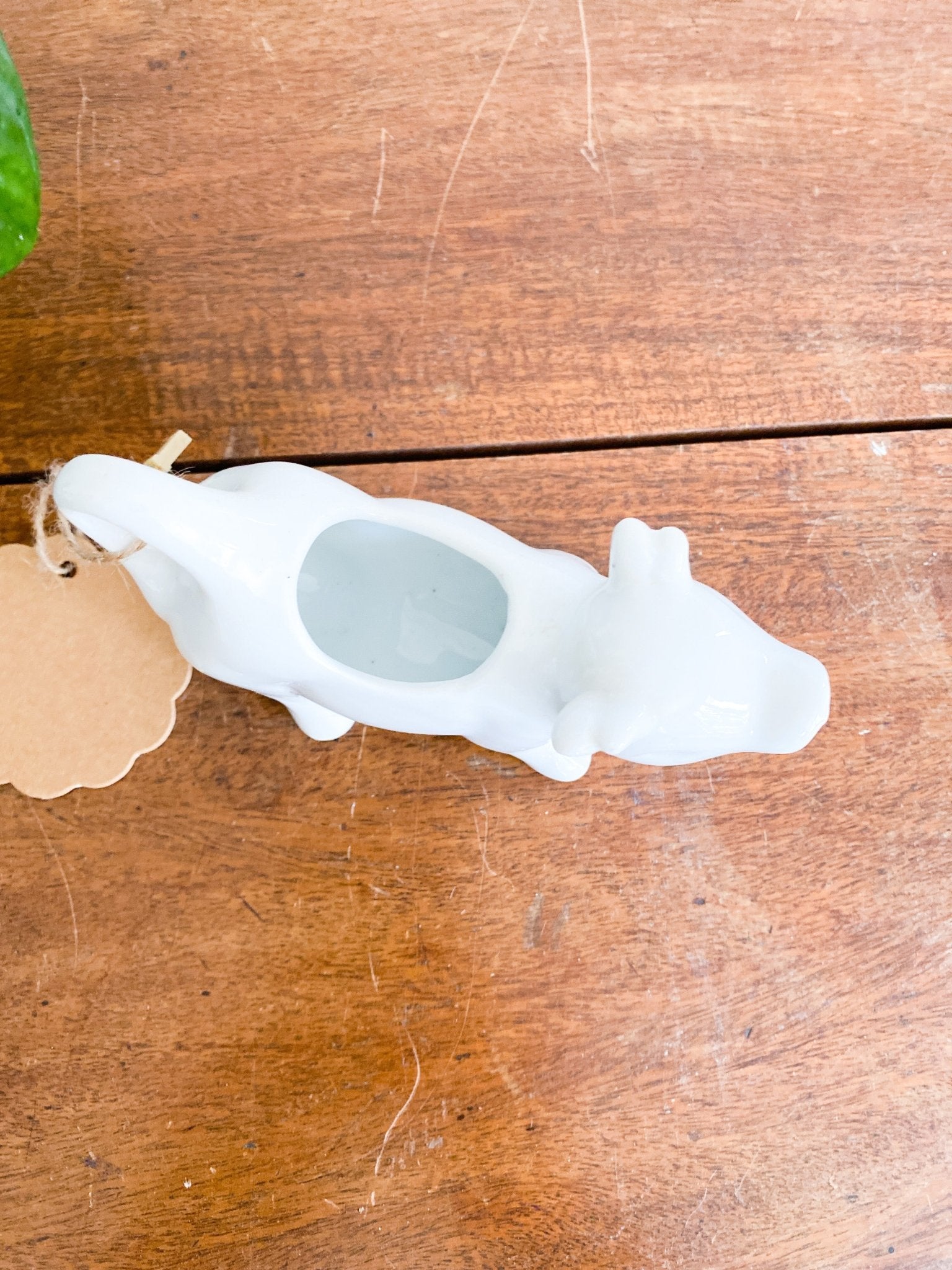 Cow Creamer - Perth Market