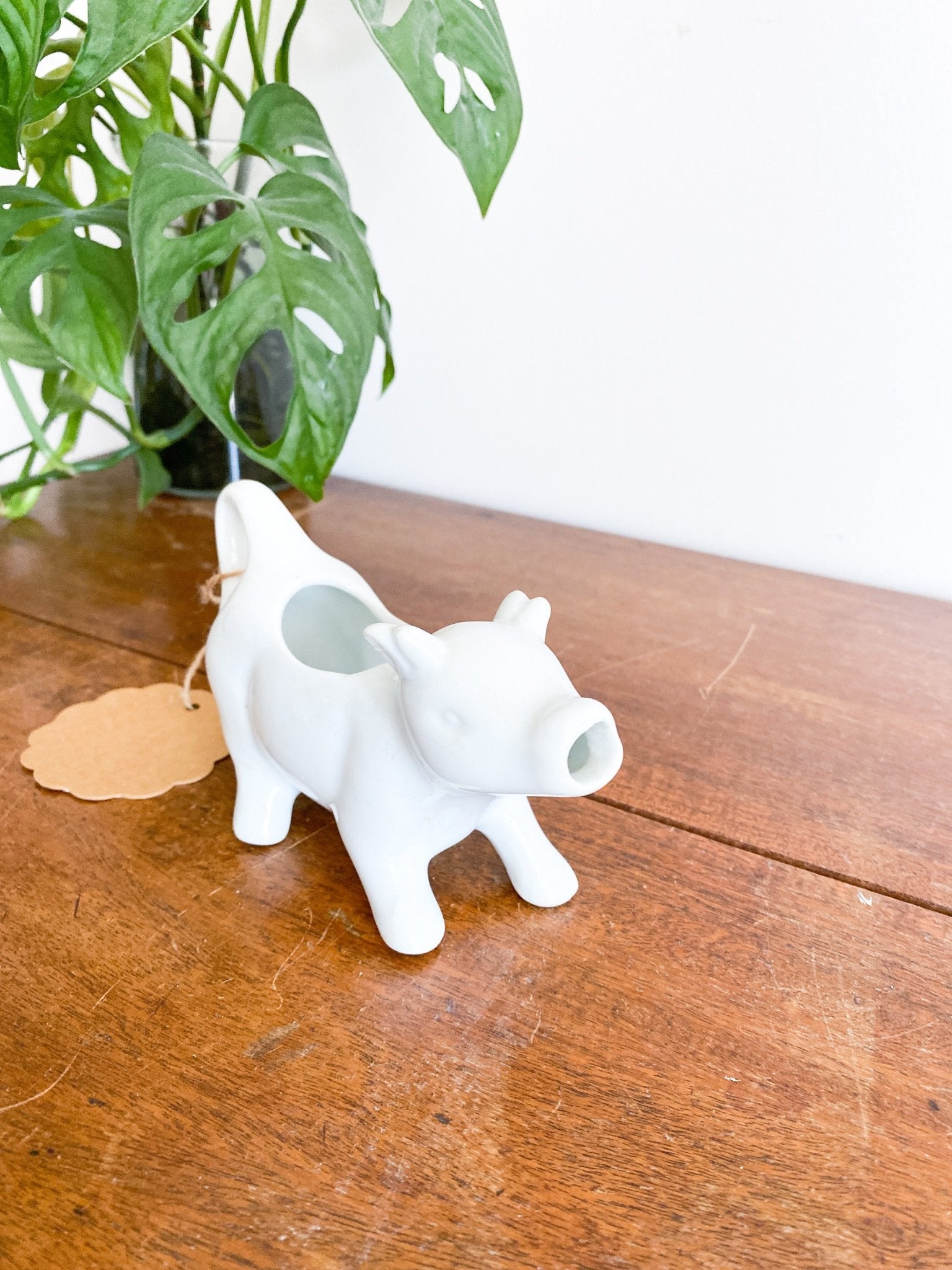 Cow Creamer - Perth Market
