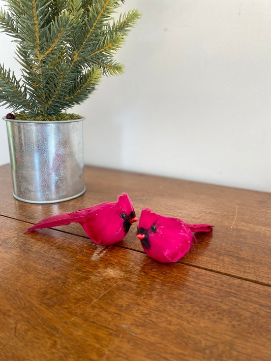 Holiday Cardinal Birds - Perth Market